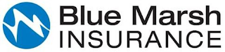 BLUE MARSH INSURANCE logo