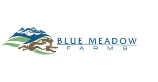 BLUE MEADOW FARMS logo