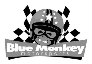 BLUE MONKEY MOTORSPORTS logo