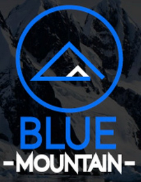 BLUE - MOUNTAIN - logo