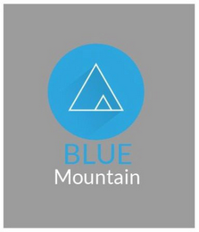 BLUE MOUNTAIN logo