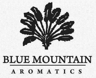BLUE MOUNTAIN AROMATICS logo