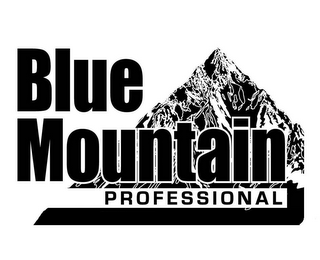 BLUE MOUNTAIN PROFESSIONAL logo