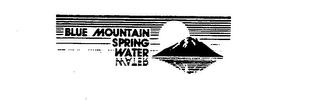 BLUE MOUNTAIN SPRING WATER logo