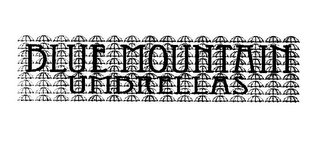 BLUE MOUNTAIN UMBRELLA logo