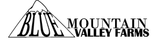 BLUE MOUNTAIN VALLEY FARMS logo