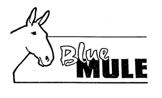 BLUE MULE logo