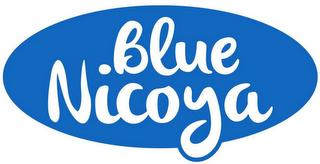 BLUE NICOYA logo