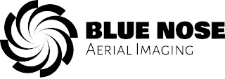 BLUE NOSE AERIAL IMAGING logo