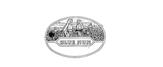 BLUE NUN logo