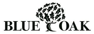BLUE OAK logo