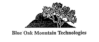 BLUE OAK MOUNTAIN TECHNOLOGIES logo