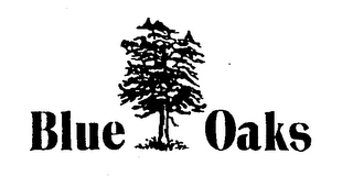 BLUE OAKS logo