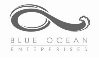 BLUE OCEAN ENTERPRISES logo