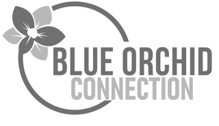 BLUE ORCHID CONNECTION logo