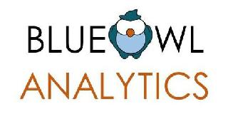 BLUE OWL ANALYTICS logo