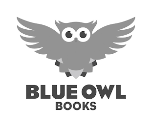 BLUE OWL BOOKS logo
