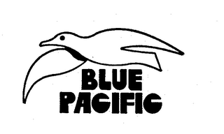 BLUE PACIFIC logo