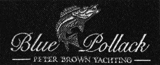 BLUE POLLACK PETER BROWN YACHTING logo