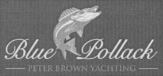 BLUE POLLACK PETER BROWN YACHTING logo