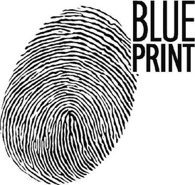 BLUE PRINT logo