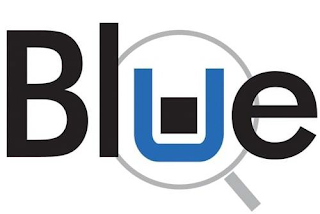 BLUE Q logo