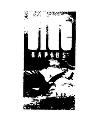 BLUE RAPIDS logo