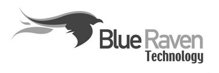 BLUE RAVEN TECHNOLOGY logo