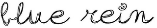 BLUE REIN logo
