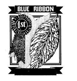 BLUE RIBBON 1ST logo