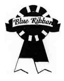 BLUE RIBBON logo