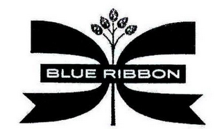 BLUE RIBBON logo