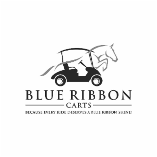 BLUE RIBBON CARTS. BECAUSE EVERY RIDE DESERVES A BLUE RIBBON SHINE! logo