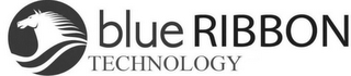 BLUE RIBBON TECHNOLOGY logo