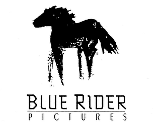 BLUE RIDER PICTURES logo