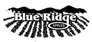 BLUE RIDGE APPLES logo
