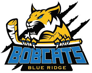 BLUE RIDGE BOBCATS logo