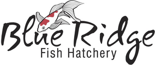 BLUE RIDGE FISH HATCHERY logo