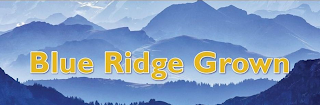 BLUE RIDGE GROWN logo