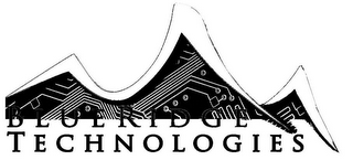 BLUE RIDGE TECHNOLOGIES logo