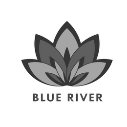 BLUE RIVER logo