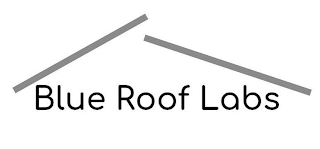 BLUE ROOF LABS logo