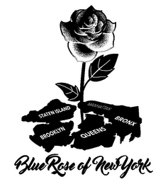 BLUE ROSE OF NEWYORK STATEN ISLAND BROOKLYN QUEENS BRONX MANHATTAN logo