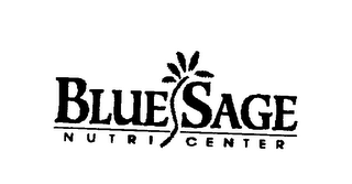 BLUE SAGE NUTRI CENTER logo