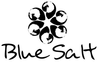 BLUE SALT logo
