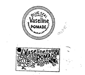 BLUE SEAL VASELINE POMADE logo