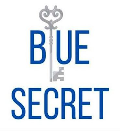 BLUE SECRET logo