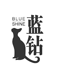 BLUE SHINE logo