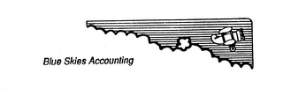 BLUE SKIES ACCOUNTING logo