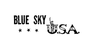 BLUE SKY U.S.A. logo